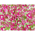 Flowers - Viscose - Pink, Green - 100% viscose 