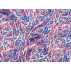 Abstrakcja  - Wiskoza - Niebieski , Różowy  - 100% wiskoza 