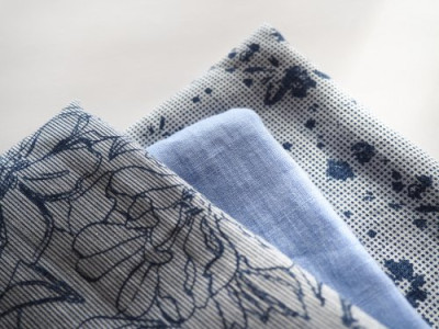 S naším lnem za létem S naším lnem za létem